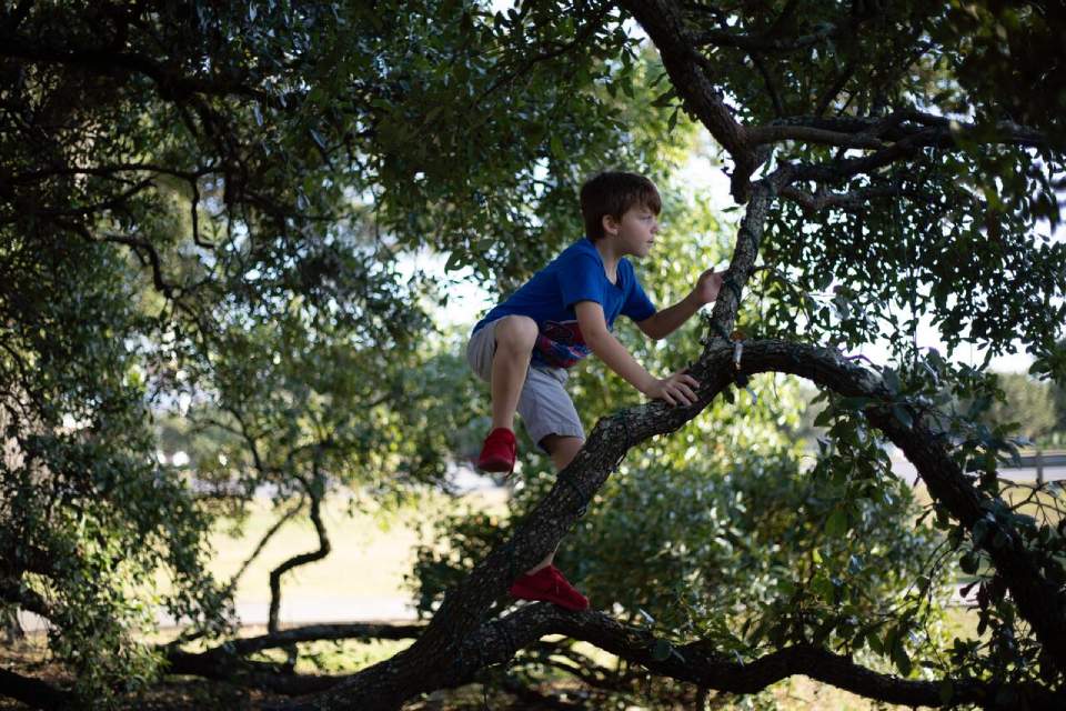 kids climbing up a tree