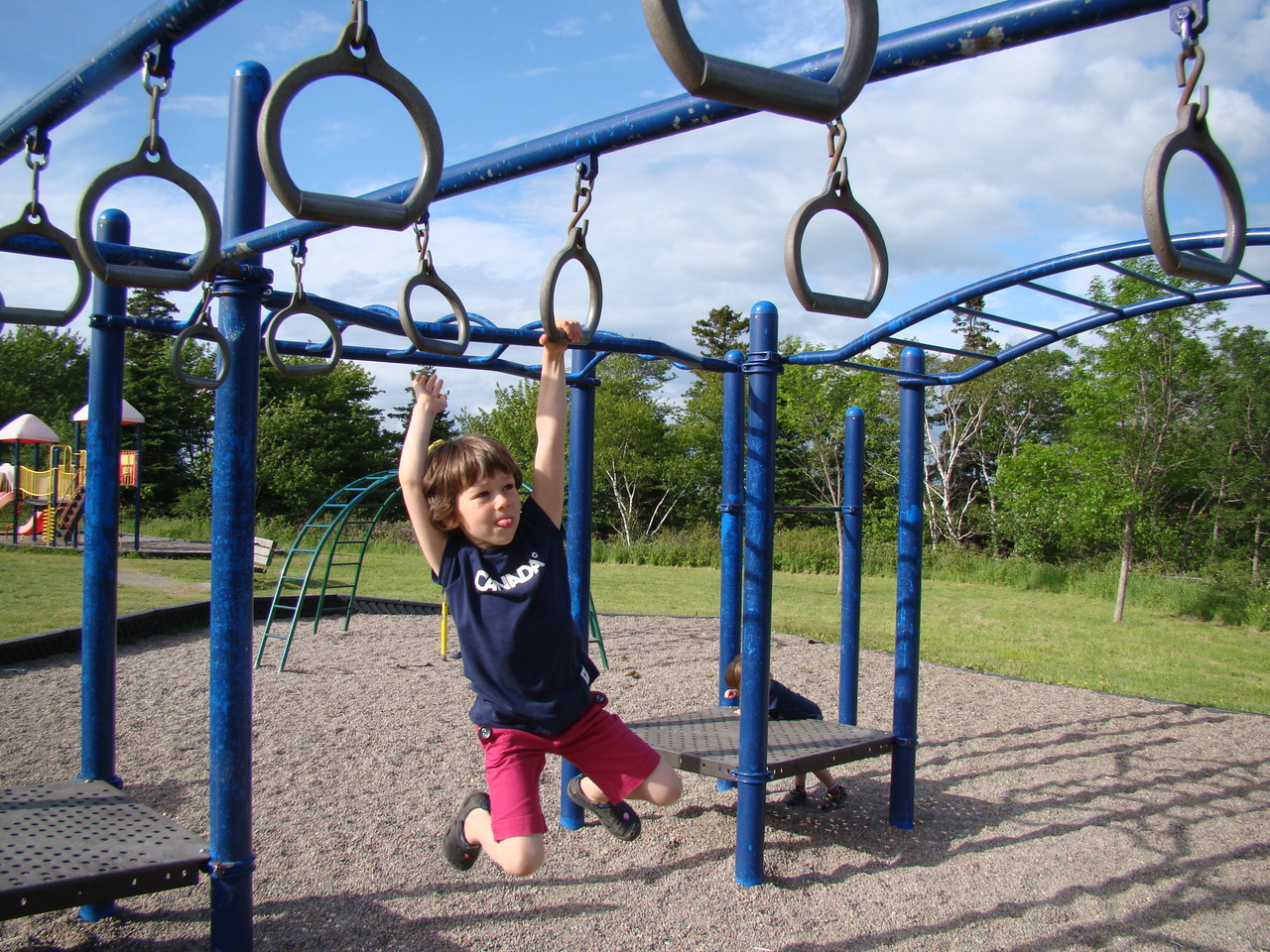 Activities in Jungle Gyms Can Promote Child Development