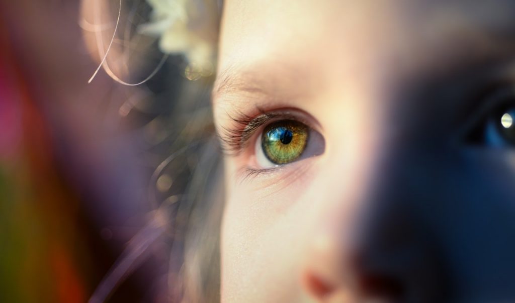 pexels photo skitterphoto